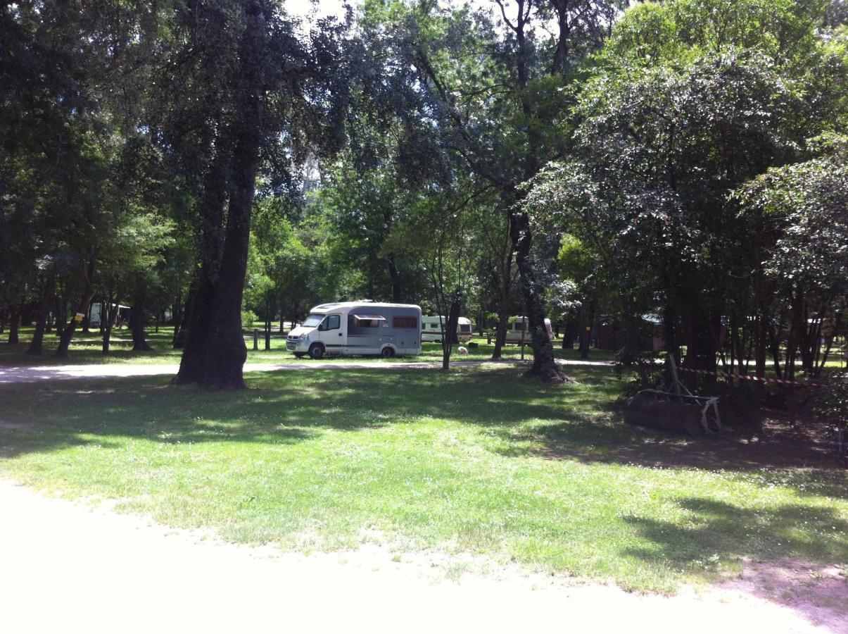 Camping Du Lion Bourg-Saint-Andéol Exteriér fotografie