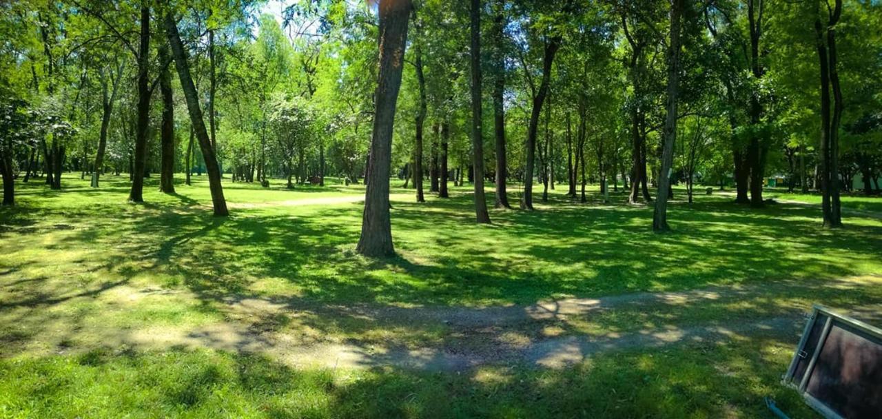 Camping Du Lion Bourg-Saint-Andéol Exteriér fotografie