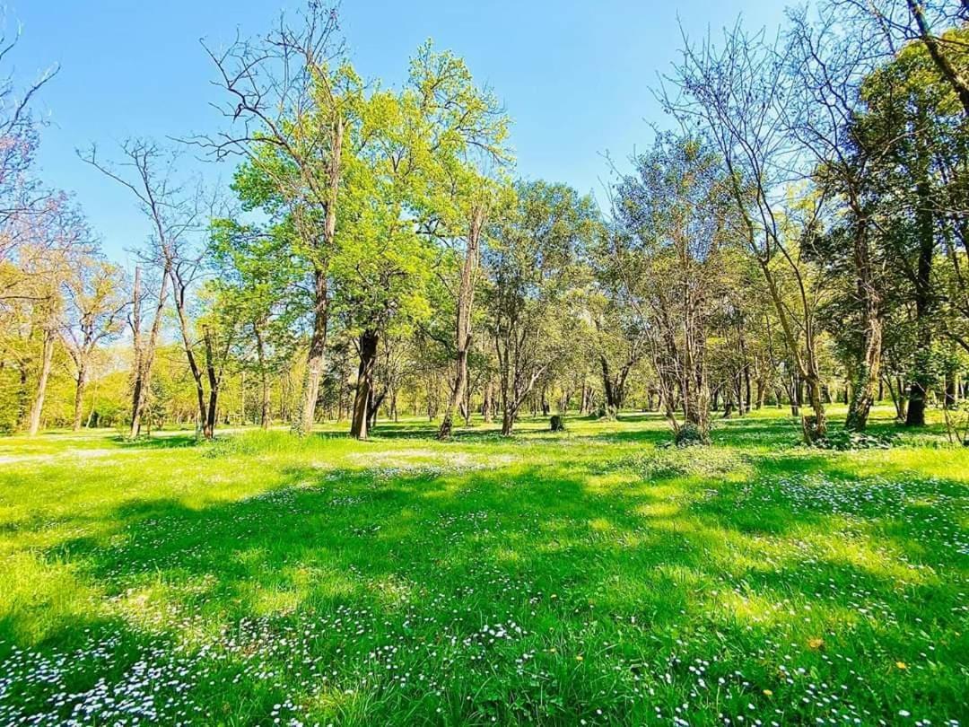 Camping Du Lion Bourg-Saint-Andéol Exteriér fotografie